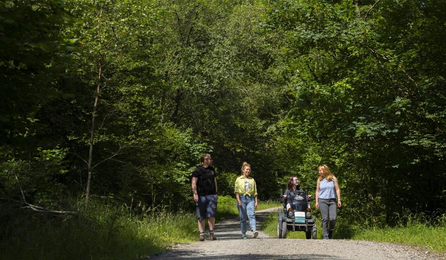 Visitors on a trail at Grizedale Forest in the Lake District, Cumbria