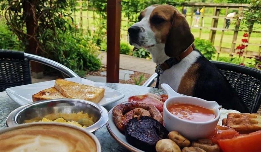 Dog and Full English Breakfast at Cafe Hope in Keswick, Lake District