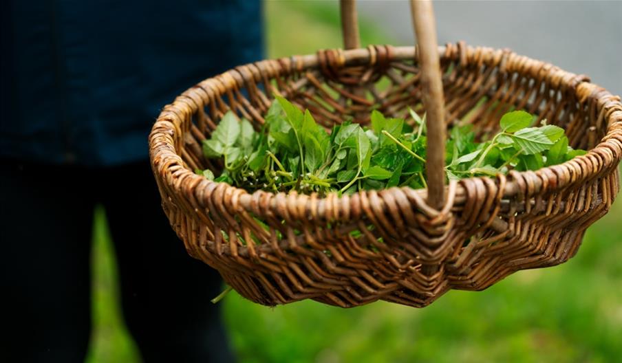 A wicker basket full of herbs
