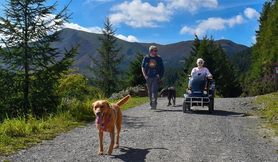 Tramper Hire - Whinlatter