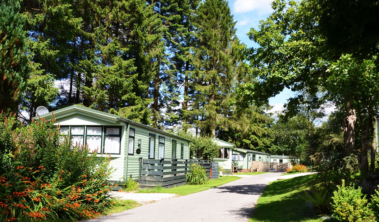 Lush surroundings at Newby Bridge Country Caravan Park in Newby Bridge, Lake District