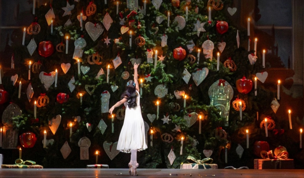 The nutcracker