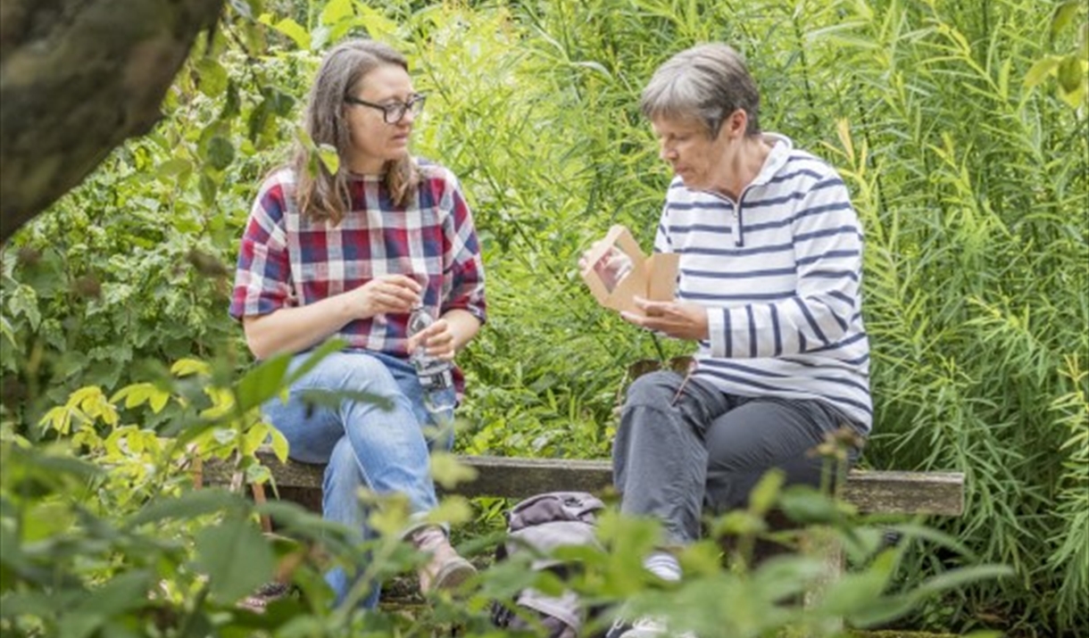 Herb Walk with Medical Herbalist, Bel Charlesworth