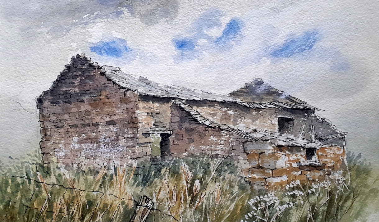 pen and ink drawing of a tumbled down old shed