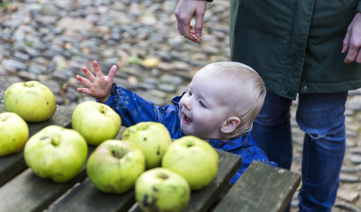 Apple Tasting Weekends