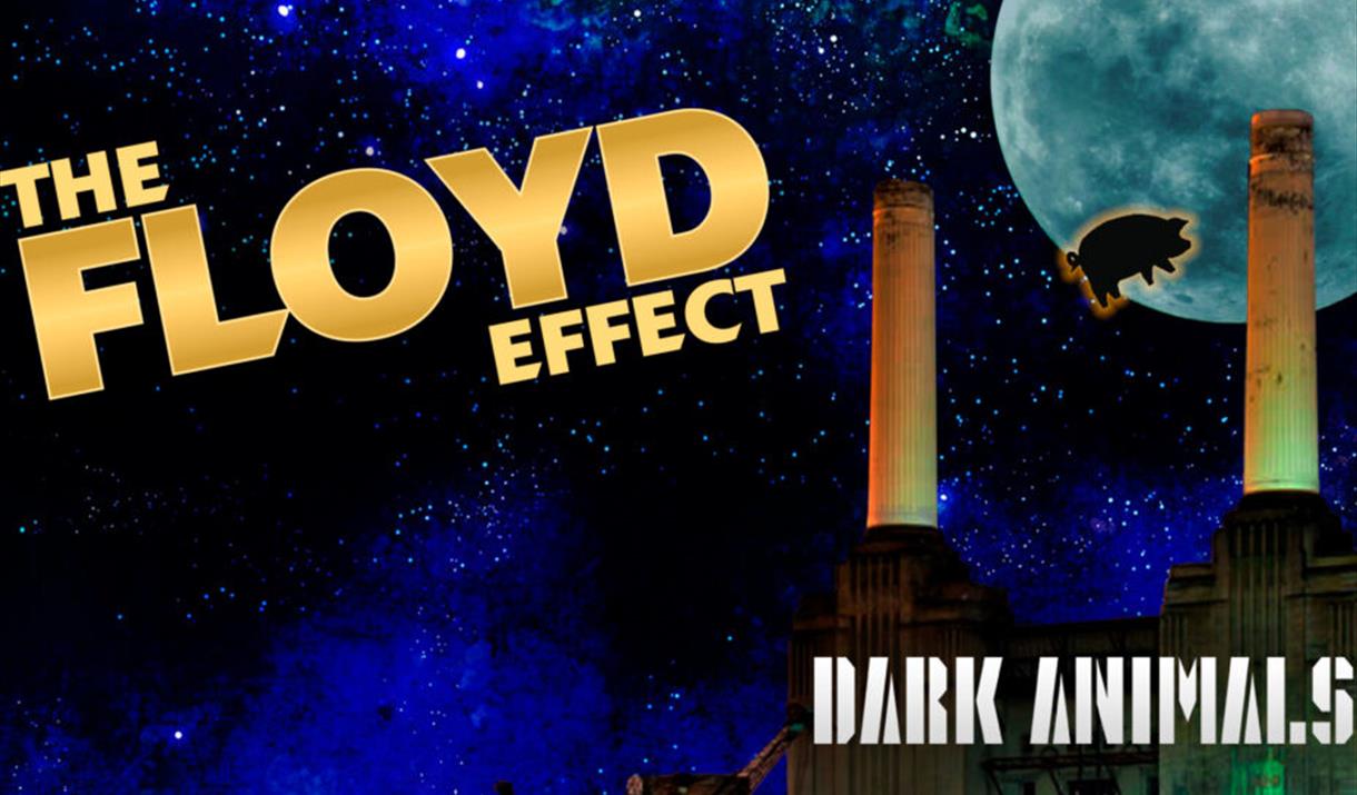 The Floyd Effect – Dark Animals Tour