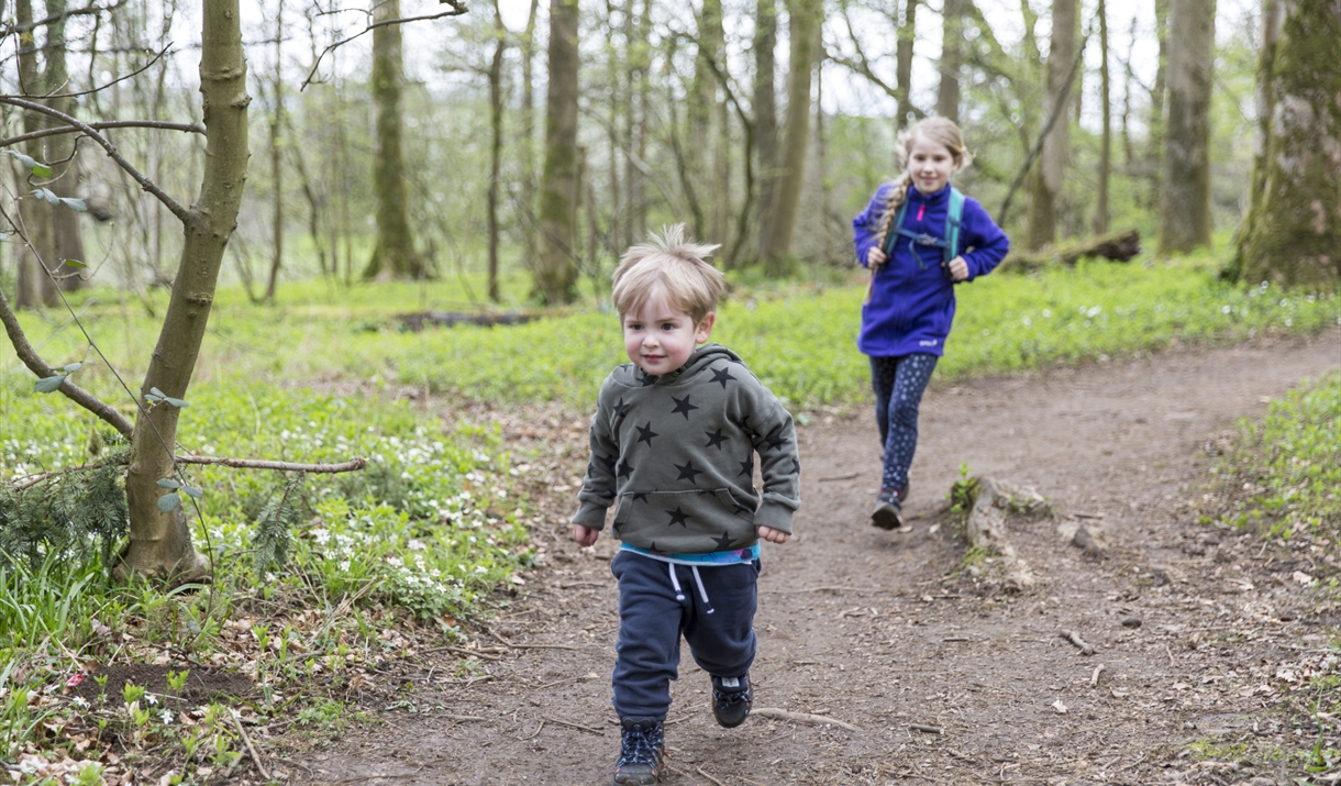 Tree 'Top Trumps' Trail