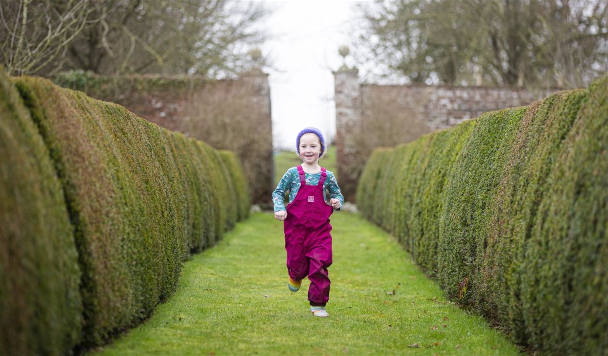 A  small child in bright pink overalls runs along a neatly trimmed grass path between two tall hedges on an overcast day, with a brick garden wall vis