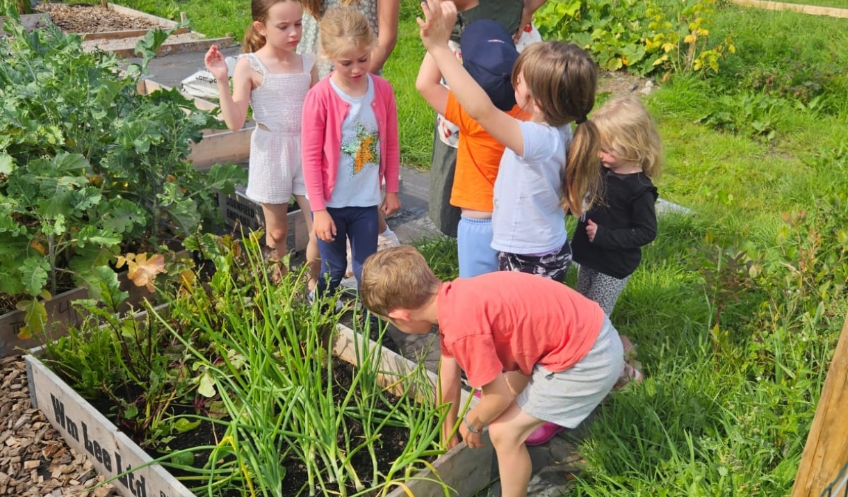 Little Farmers on the allotment