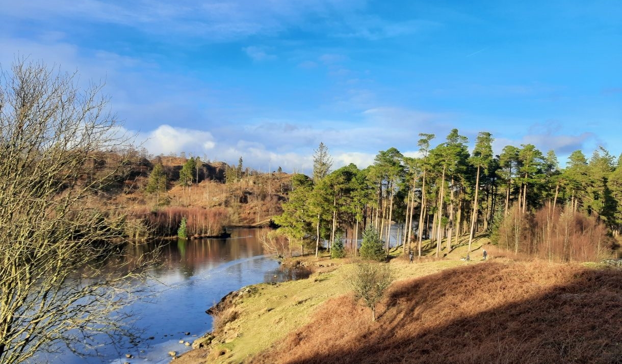 Spring Women's Wellness Nature Retreat