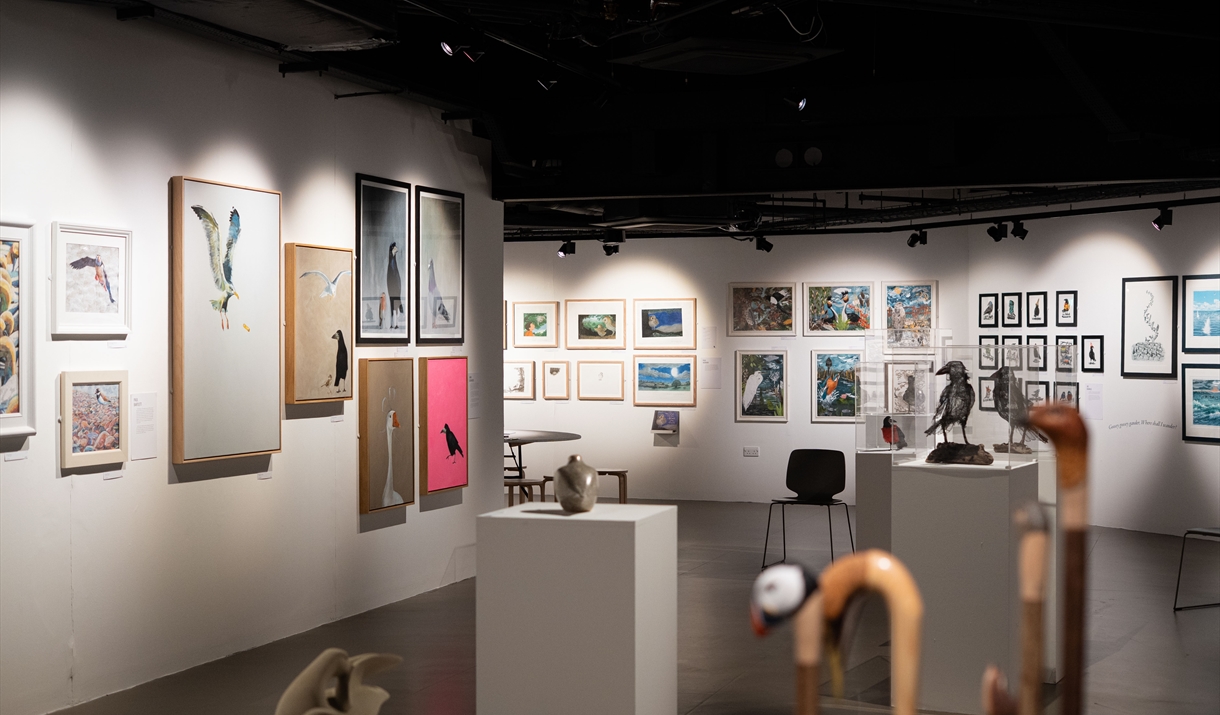Brilliance of Birds Exhibition