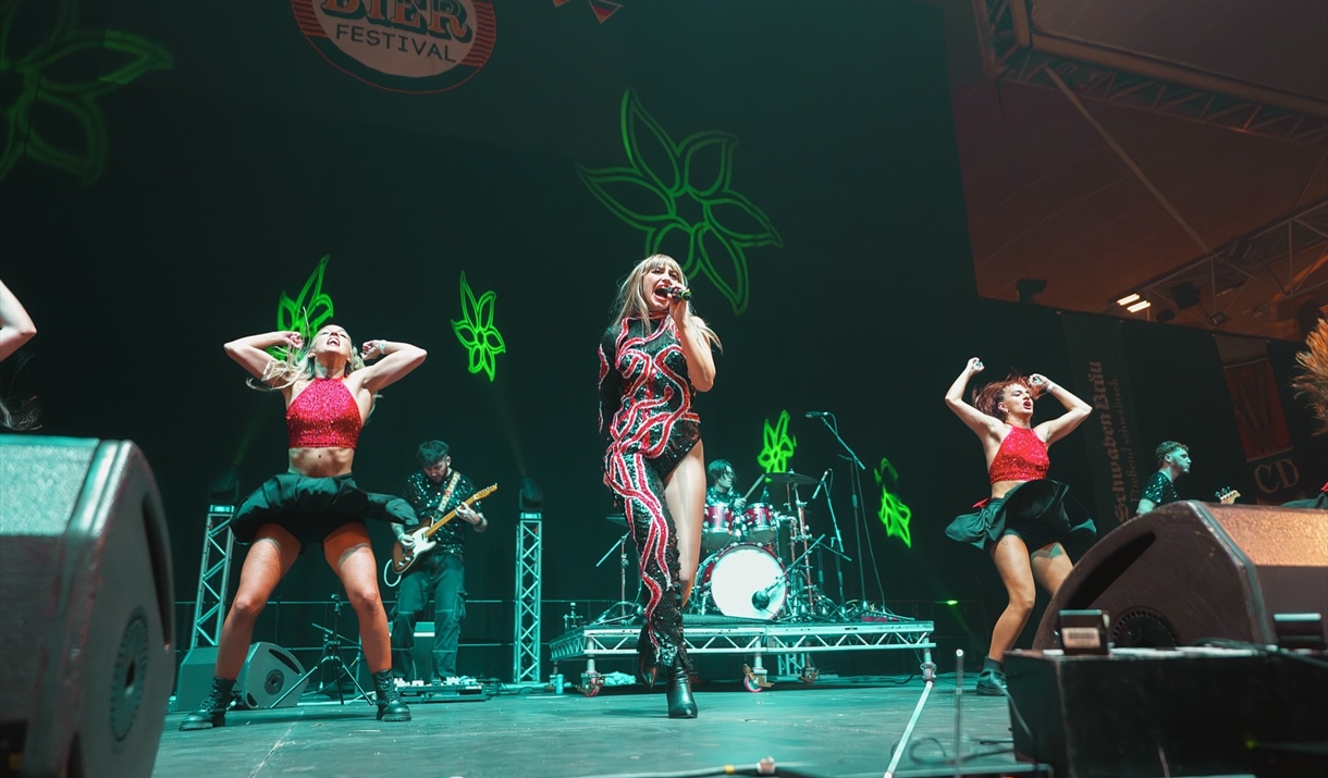 Fearlessly Taylor live on stage