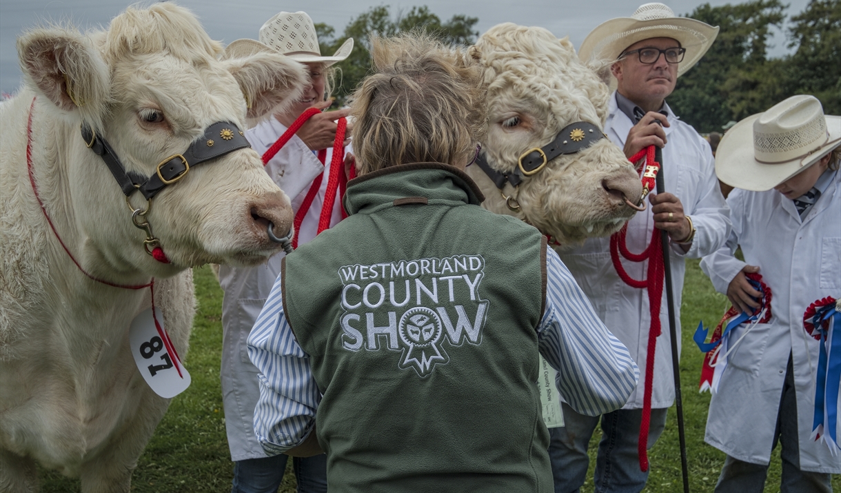 Westmorland County Show
