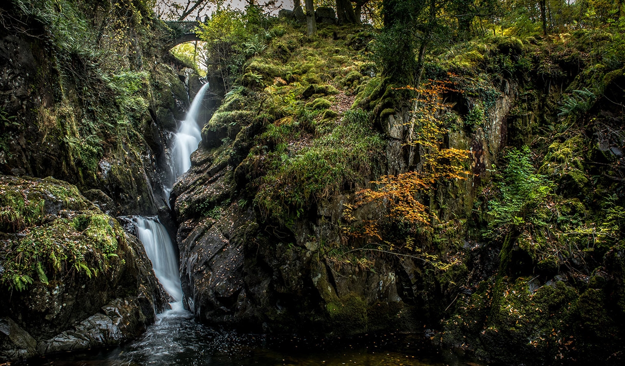 Beautiful natural scenery at Aira Force Waterfall in Matterdale, Lake District © National Trust Images, John Malley