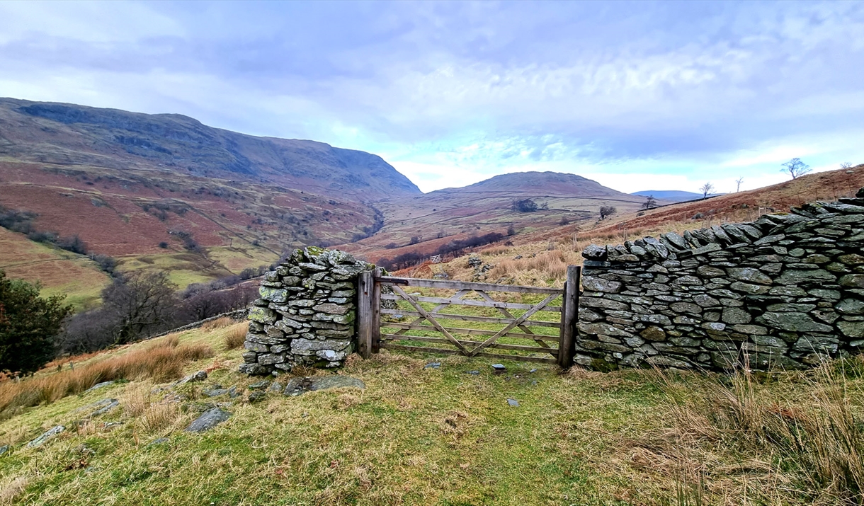 Photo of a fence in Cumbria surrounded either side by a stone wall