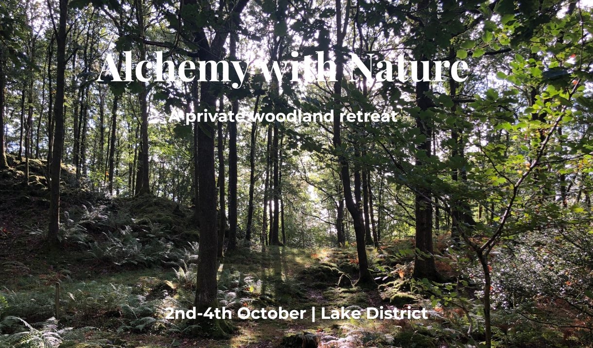 Alchemy with Nature Woodland Retreat for Women October 2026 The Lake District