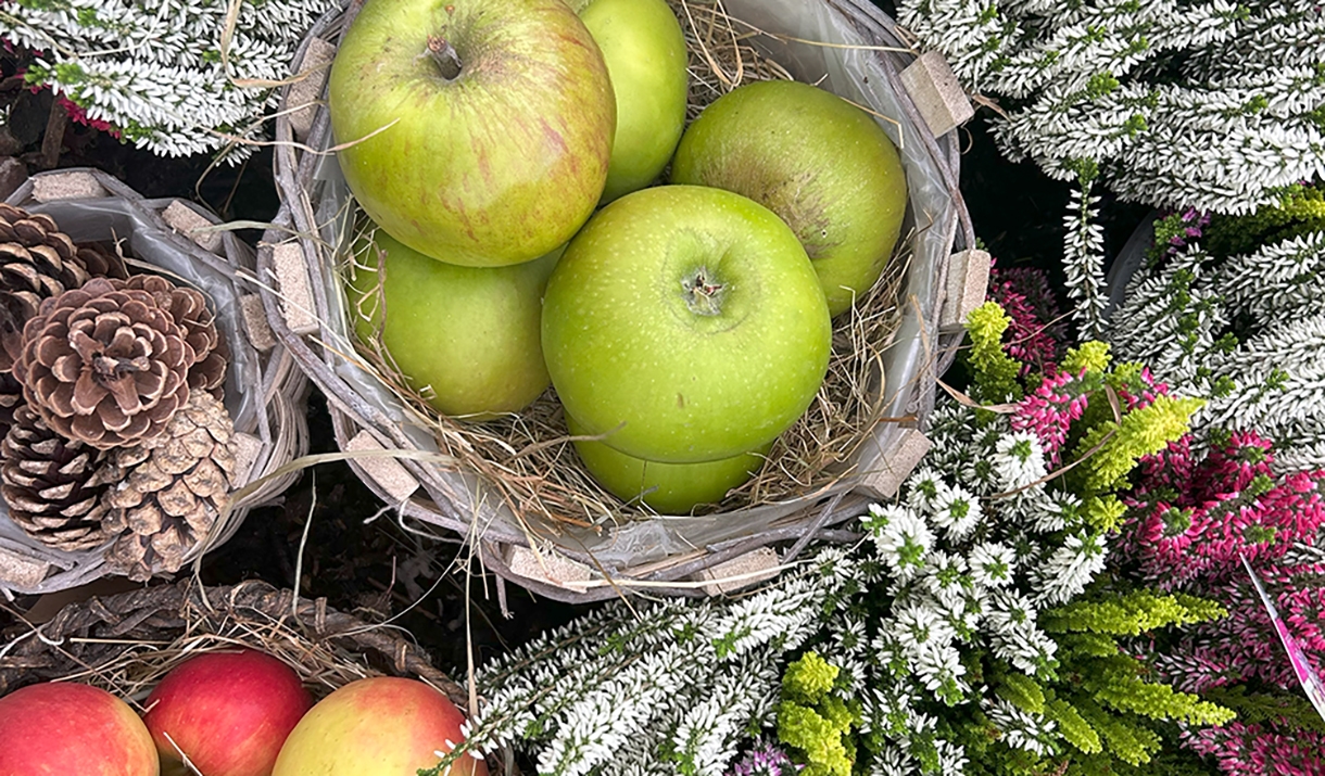 winter baskets full of pine combs apples and heather
