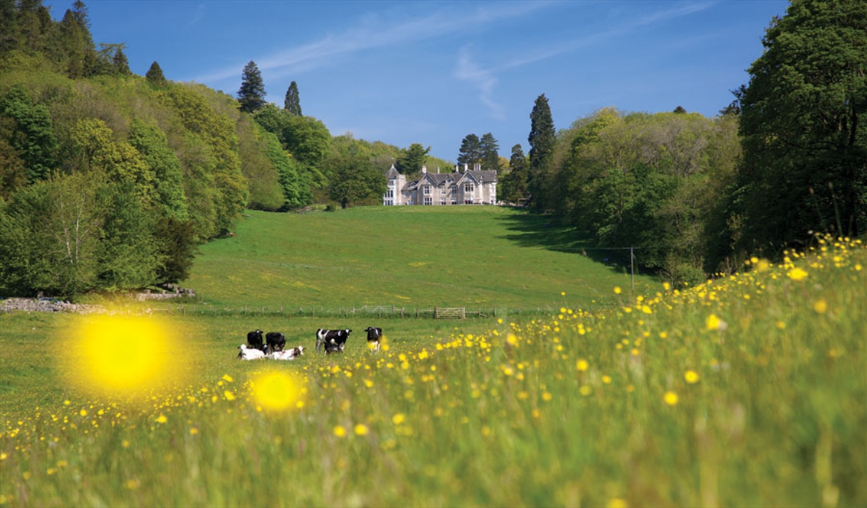 View to Merlewood main house