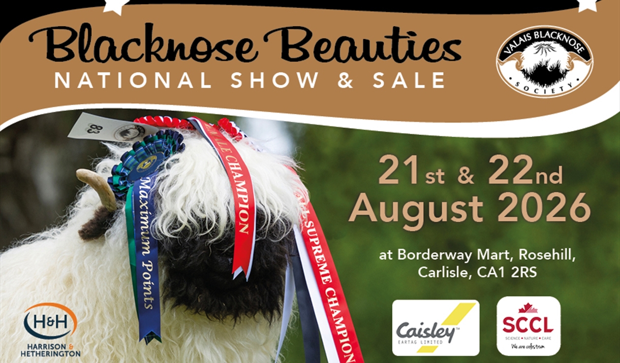 Blacknose Beauties National Show & Sale