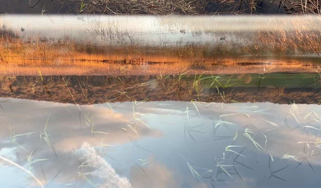 Upside-down reflection of a landscape in still water, showing a cloudy sky, grassy reeds, and warm orange light along the shoreline, with a blurred ho