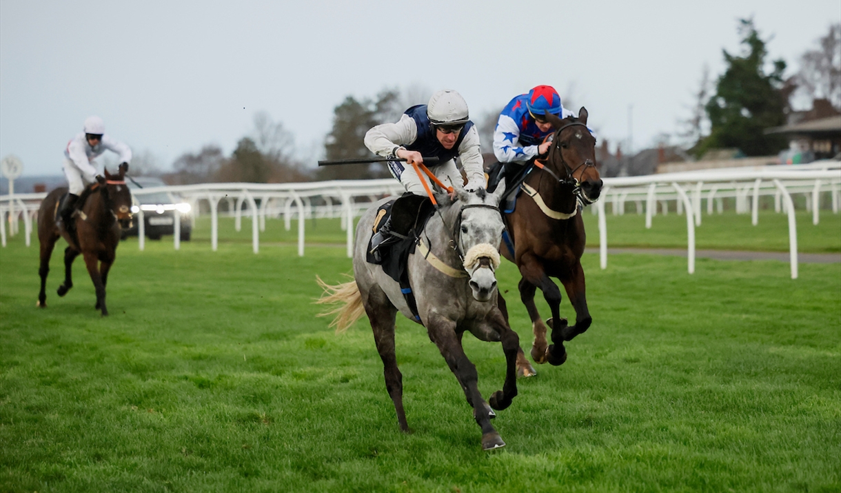 Afternoon Flat Racing