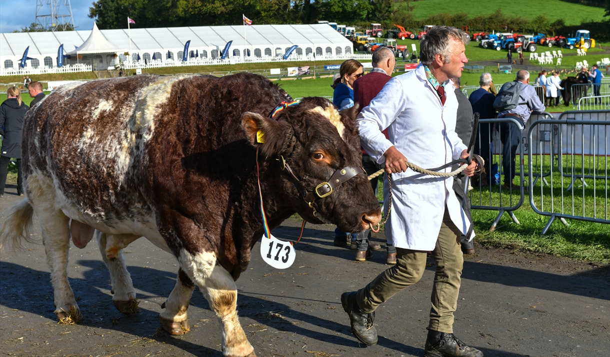 Westmorland County Agricultural Show