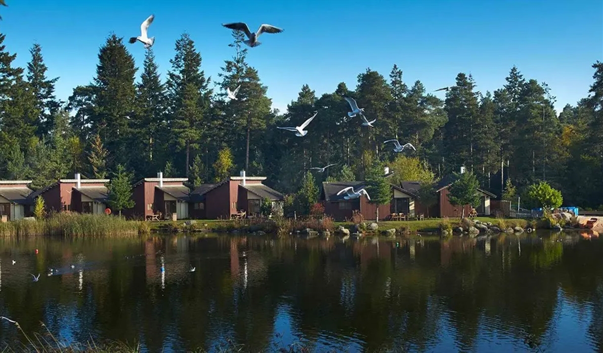 Lakeside Accommodation at Center Parcs Whinfell Forest near Penrith, Cumbria