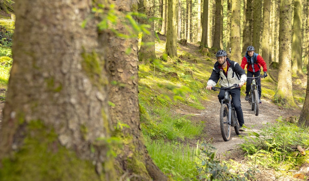Visitors on a mountain biking trail at Whinlatter Forest in the Lake District, Cumbria