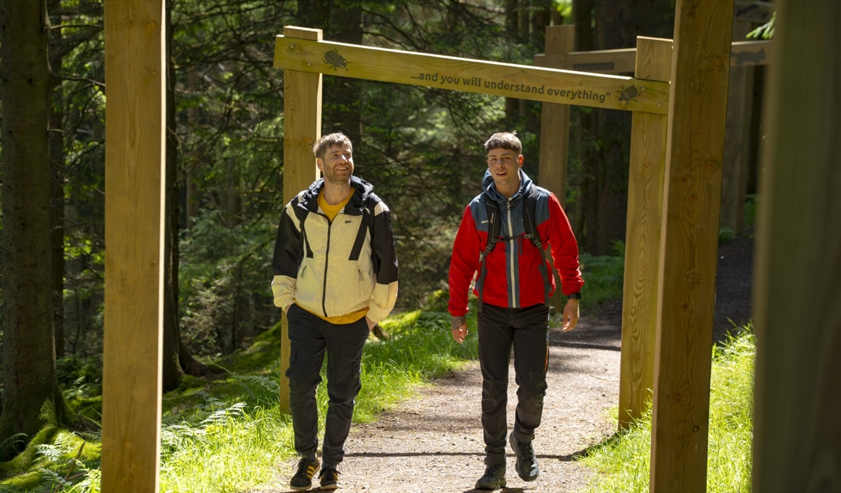 Visitors on a walking trail at Whinlatter Forest in the Lake District, Cumbria