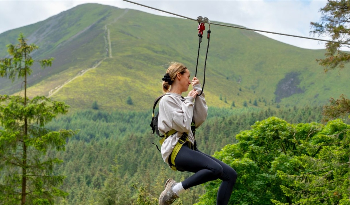 Whinlatter Forest Go Ape