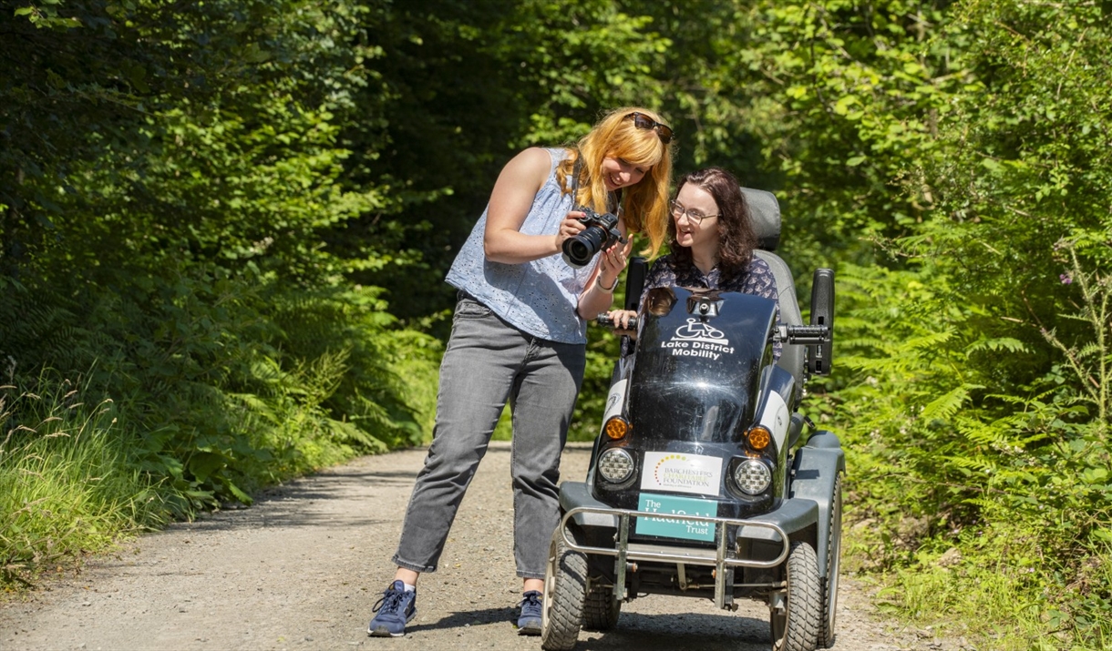 Visitors on a trail at Grizedale Forest in the Lake District, Cumbria