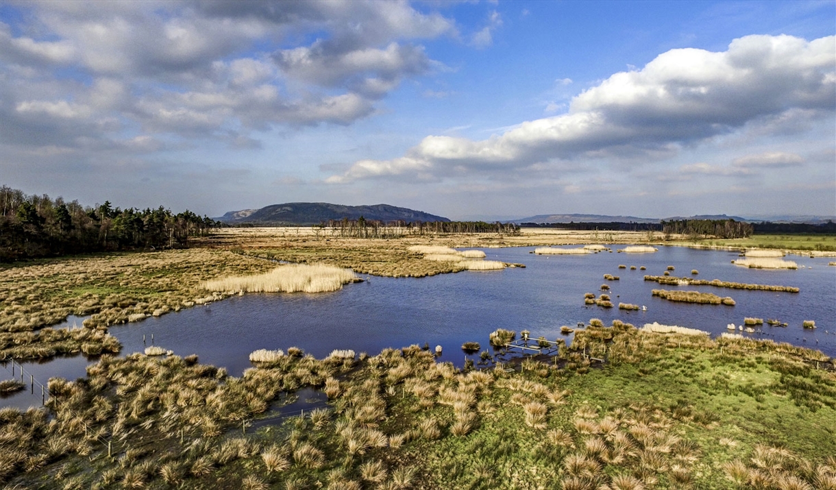 Views at Foulshaw Moss Nature Reserve in Witherslack, Cumbria