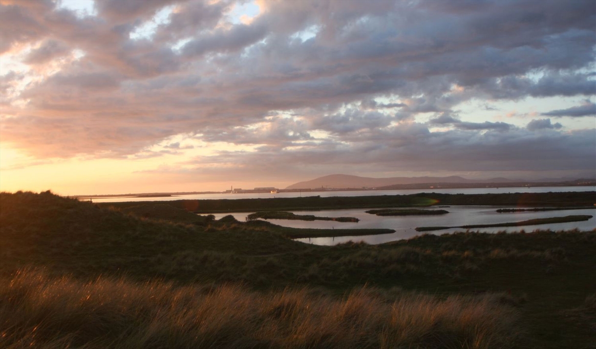 Scenery on Wildlife Tracking Tour with Cumbria Wildlife Trust at South Walney Nature Reserve