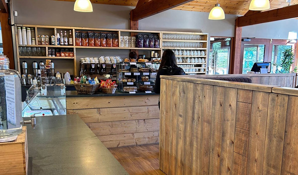 Cafe Counter and Checkout at Cafe Ambio in Whinlatter Forest in the Lake District, Cumbria