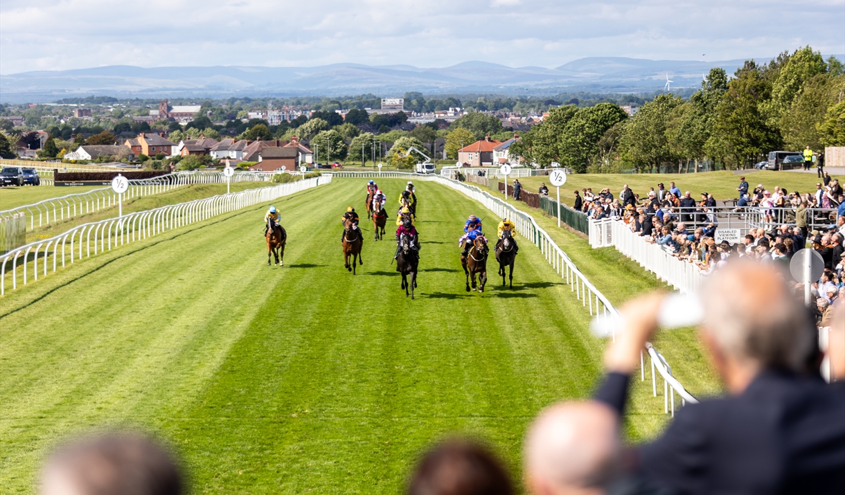 Monday Afternoon Flat Racing