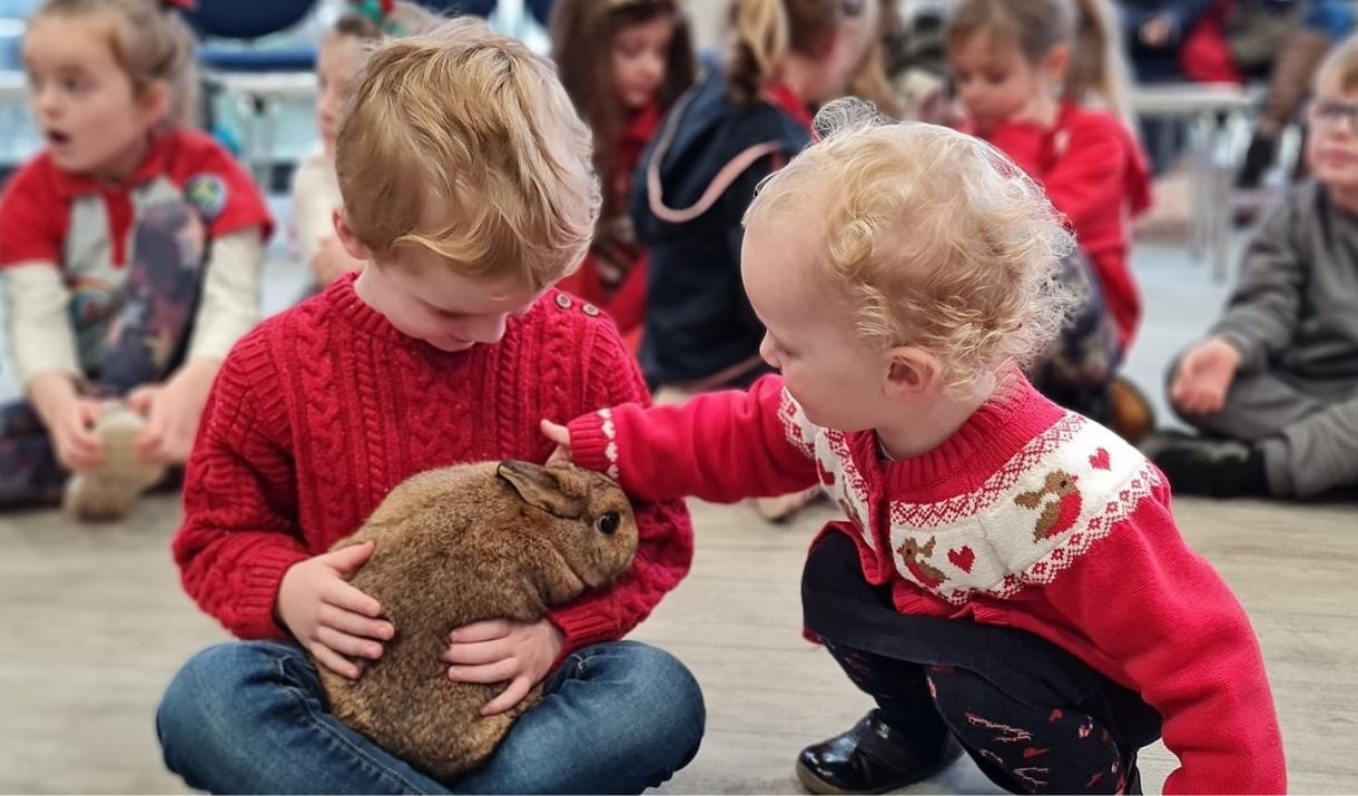Pet Encounters