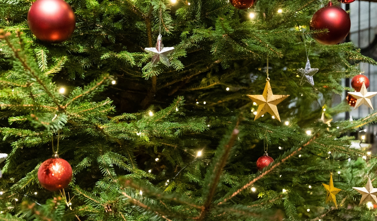 Carlisle Cathedral Christmas Tree Festival