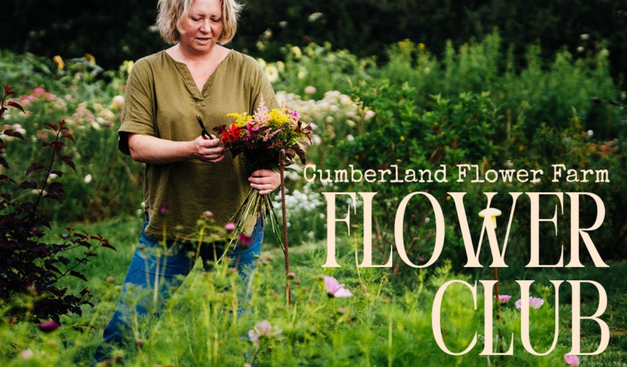 Harriet cutting flowers in the field