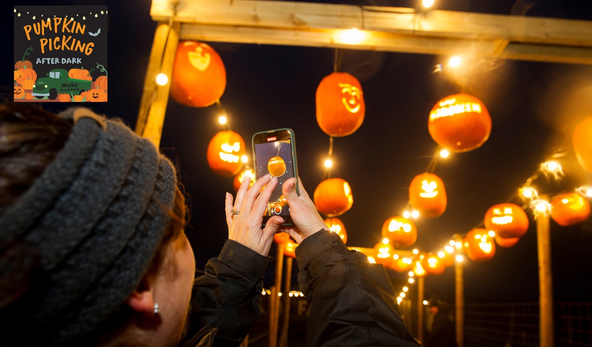 Pumpkin Picking After Dark