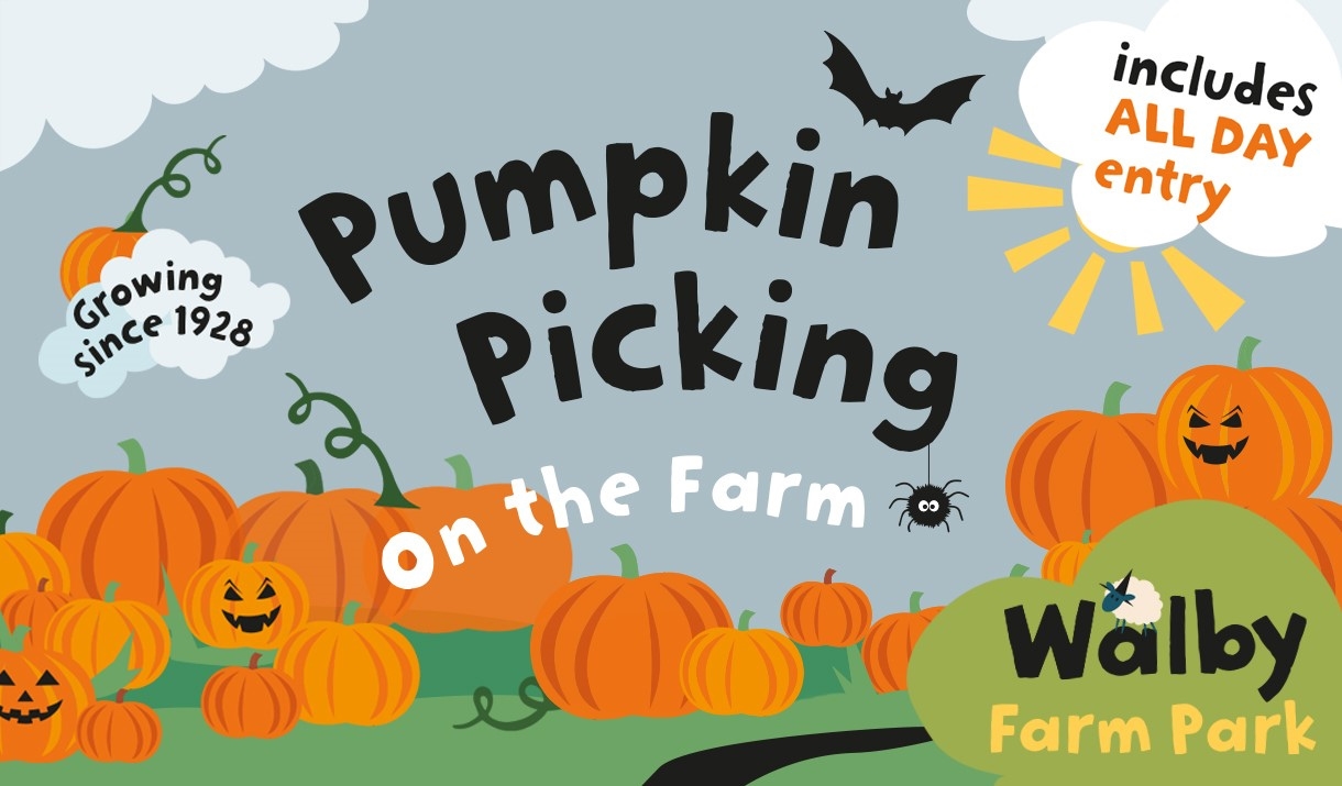 Pumpkin Pixking on the Farm