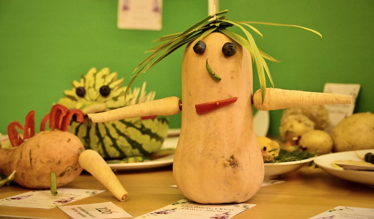 vegetable fusion art
