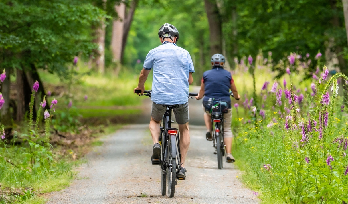 Riders Enjoying E-Bike Hire and Delivery from E-Bike Safaris Ltd in the Lake District, Cumbria