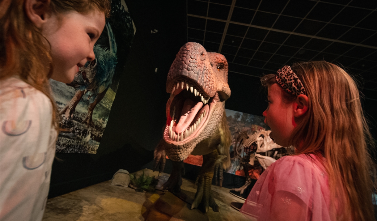 Dinosaur rEvolution