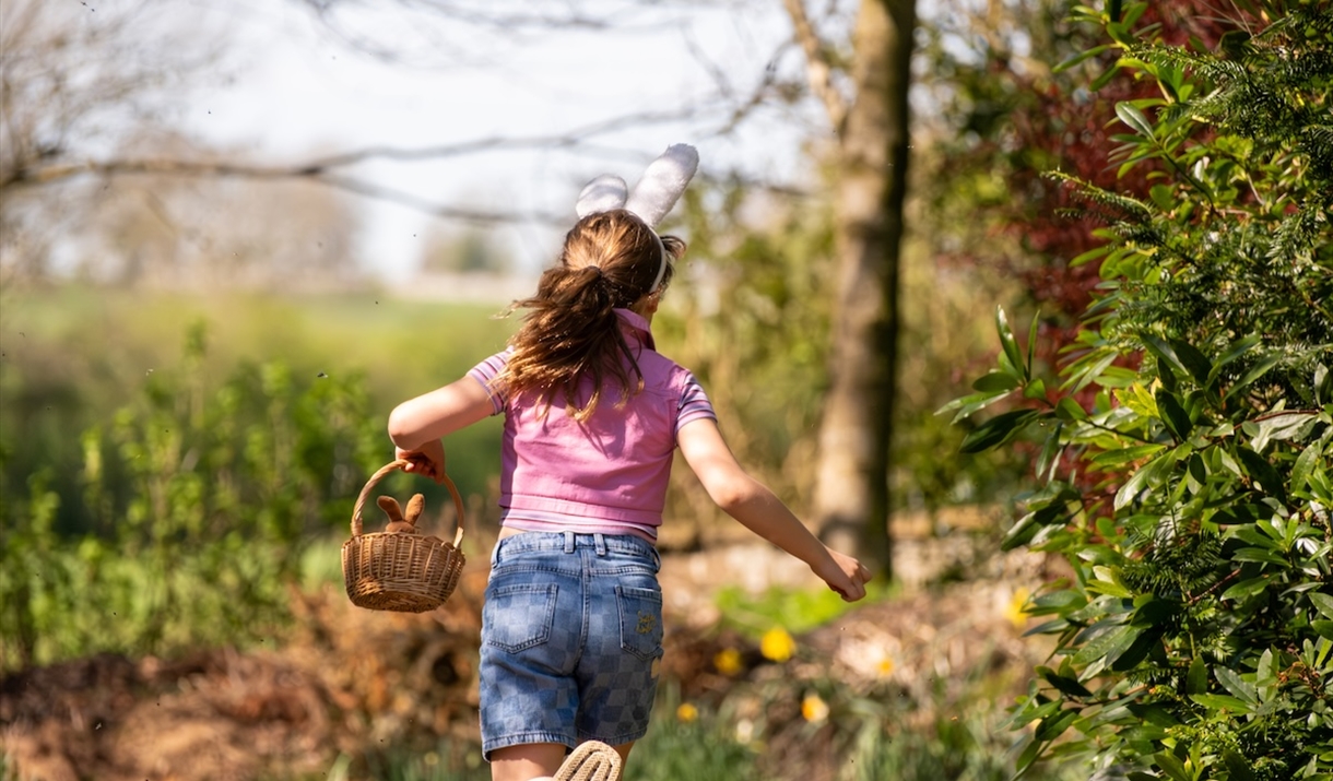 Easter Egg Trail