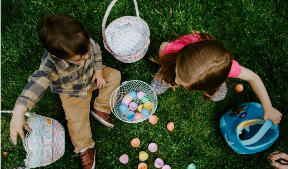 field with egg basket