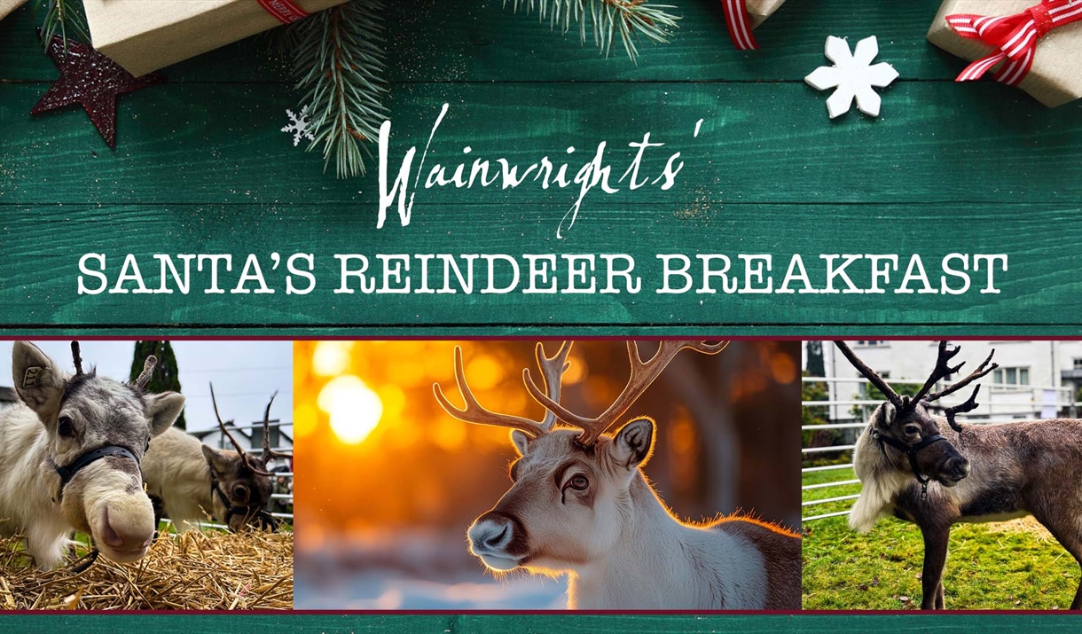Poster for Santa's Reindeer Breakfast featuring photos of reindeer