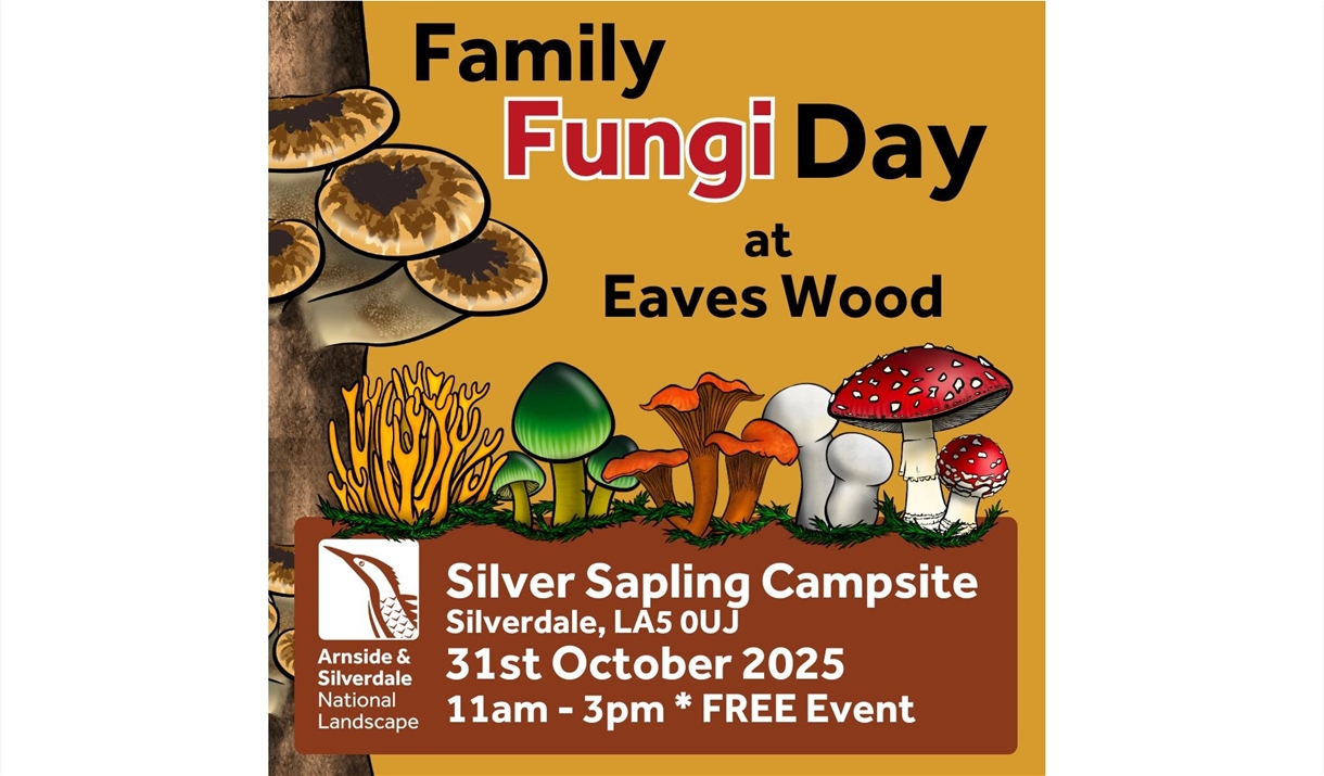 Family Fungi Day poster at Silver Sapling Campsite