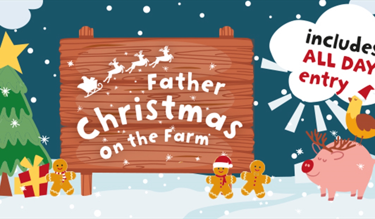 Father Christmas on the Farm