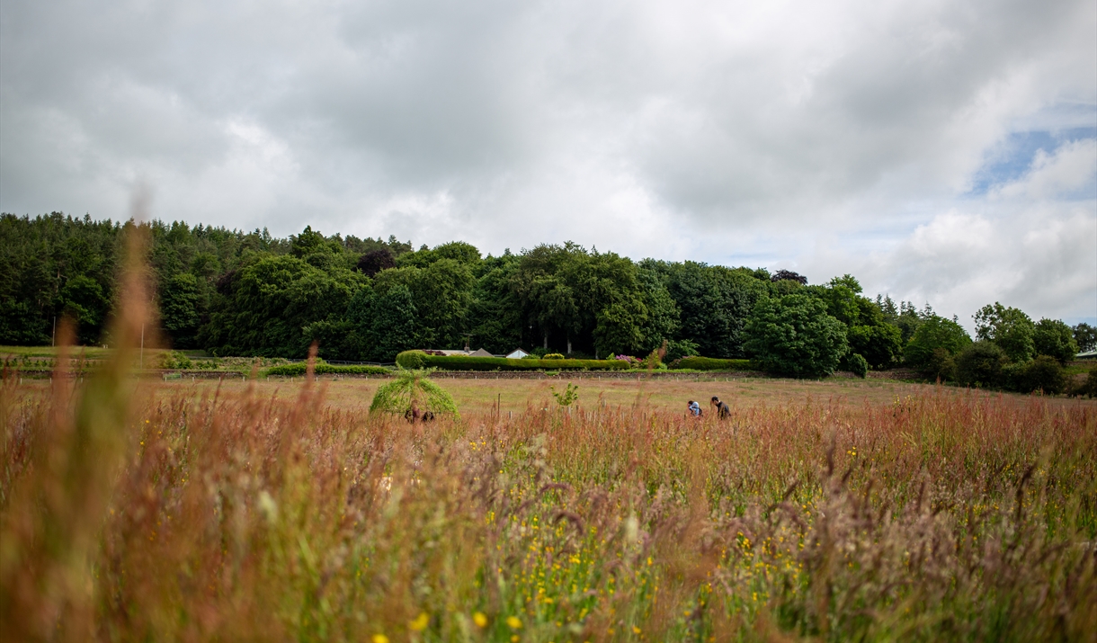 Meadows at Cold Springs