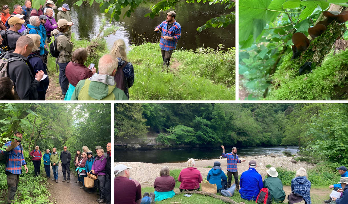 Forage and Feast workshop